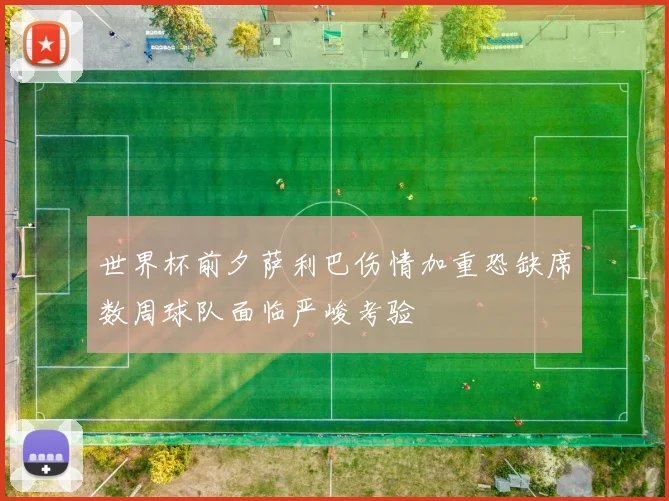 世界杯前夕萨利巴伤情加重恐缺席数周球队面临严峻考验