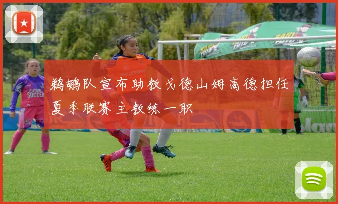 鹈鹕队宣布助教戈德山姆高德担任夏季联赛主教练一职