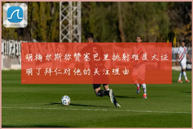 胡梅尔斯称赞塞巴里挑射难度大证明了拜仁对他的关注理由