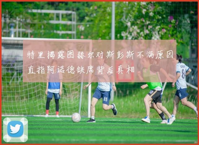 特里揭露图赫尔对斯彭斯不满原因直指阿诺德缺席背后真相